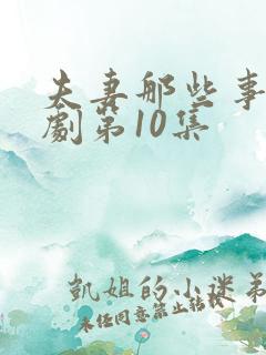 夫妻那些事电视剧第10集