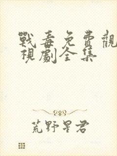 战毒免费观看电视剧全集