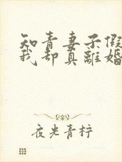 知青妻子假离婚我却真离婚小说