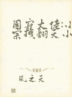 团宠大佬:小祖宗拽翻天小说