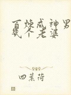 百炼成神男主有几个老婆