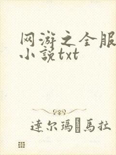 网游之全服公敌小说txt
