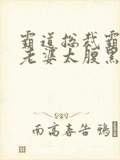 霸道总裁霸道宠老婆太腹黑免费阅读