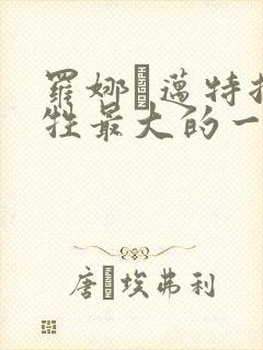 罗娜·迈特拉牺牲最大的一部电影