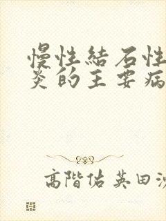 慢性结石性胆囊炎的主要病因是