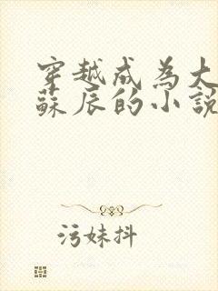 穿越成为大反派苏辰的小说