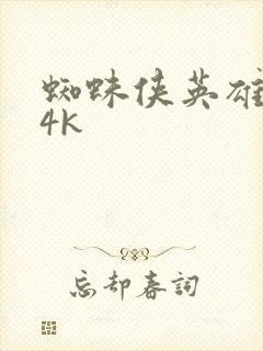 蜘蛛侠英雄无归4k