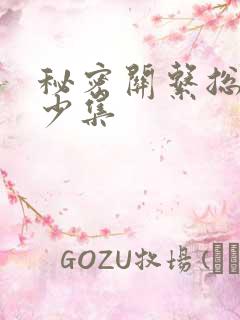 秘密关系总共多少集