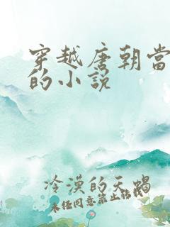 穿越唐朝当闲王的小说