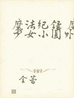 魔法纪录 魔法少女小圆外传 动漫