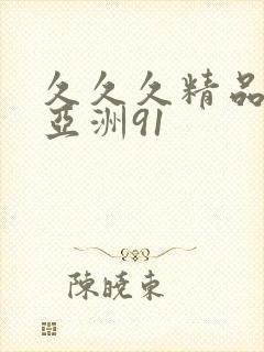 久久久精品国产亚洲91