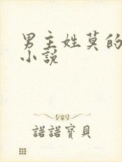 男主姓莫的总裁小说