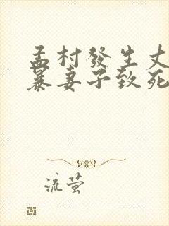 孟村发生丈夫家暴妻子致死事件是真的吗