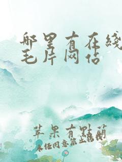 哪里有在线观看毛片网站