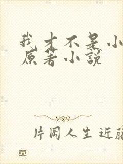 我才不是小可怜原著小说