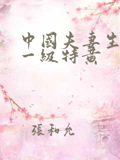 中国夫妻生活片一级特黄