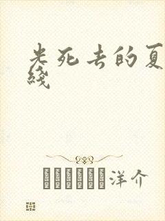 光死去的夏天在线