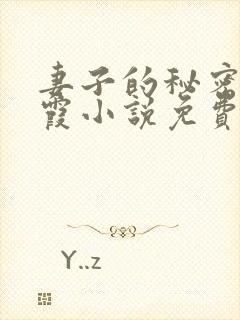 妻子的秘密韩晴霞小说免费阅读