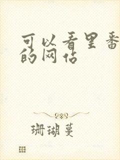 可以看里番动漫的网站