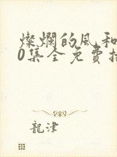 灿烂的风和海40集全免费播放