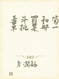 毒斗罗和菊斗罗单挑是哪一集