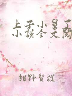 上子小舅了老婆小说全文阅读