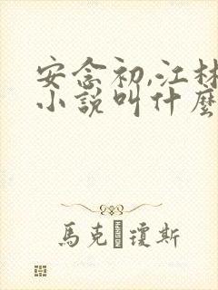 安念初,江林的小说叫什么名字