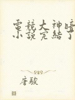 电竞大神暗恋我小说完结了吗