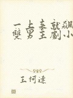 一上来就飙车的双男主剧小说