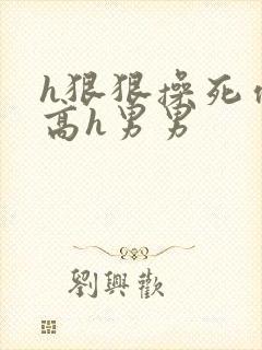 h狠狠操死你h高h男男
