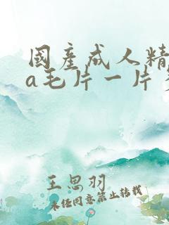 国产成人精品aa毛片一片多