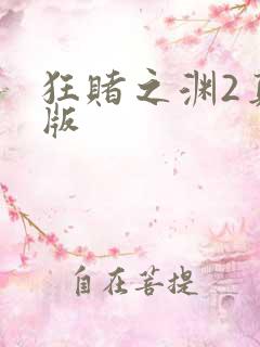 狂赌之渊2真人版