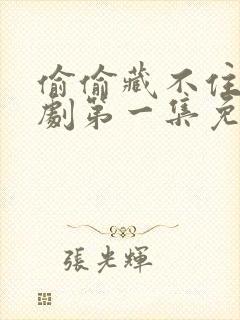 偷偷藏不住电视剧第一集免费观看