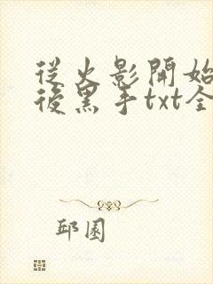 从火影开始做幕后黑手txt全文下载