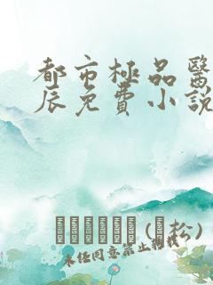 都市极品医神叶辰免费小说