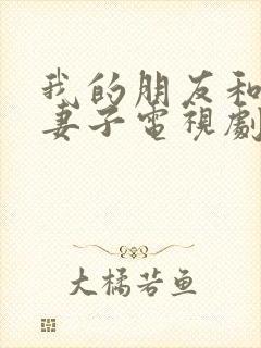 我的朋友和他的妻子电视剧剧情介绍