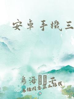 安卓手机三国志