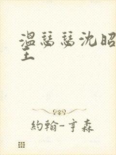 温瑟瑟沈昭摄政王