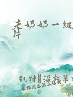 老奶奶一级伦理片