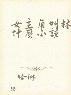 女主角叫林芷是什么小说