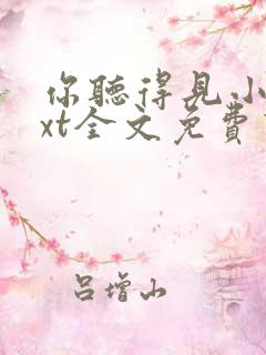 你听得见小说txt全文免费下载