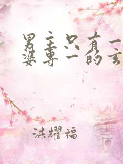 男主只有一个老婆专一的玄幻小说