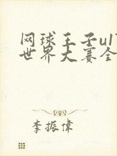 网球王子u17世界大赛全集中文版