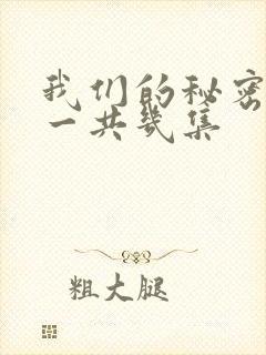 我们的秘密泰剧一共几集