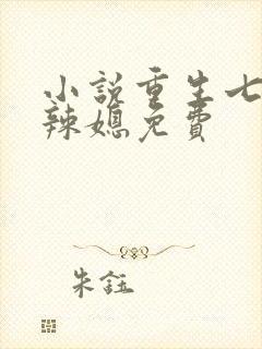 小说重生七零小辣媳免费