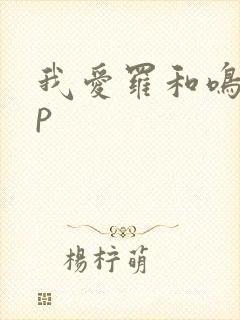 我爱罗和鸣人cp