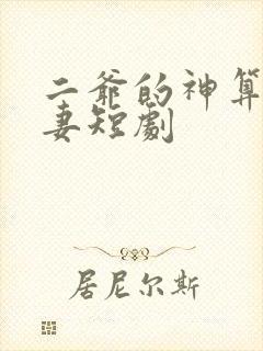 二爷的神算小萌妻短剧