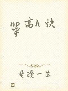 np 高h 快穿