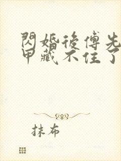 闪婚后傅先生马甲藏不住了无弹窗