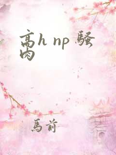 高h np 骚肉